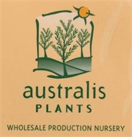 Australis Plants